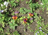 90 IMG_1110.JPG
